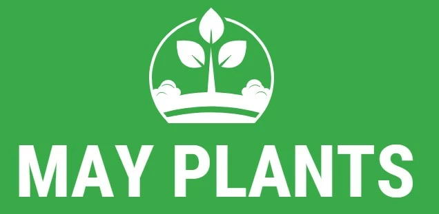 May Plants Shop